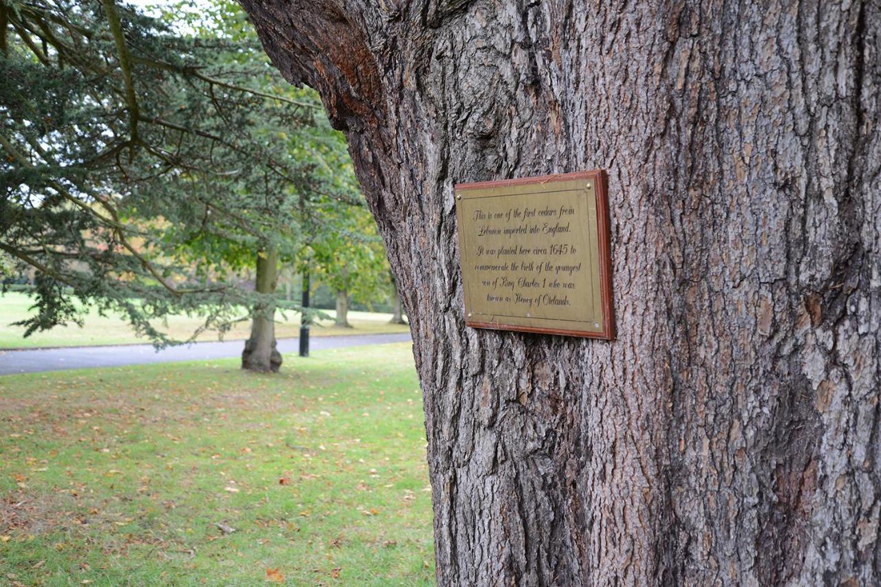 Oatlands Park Hotel Weybridge Eksteriør billede